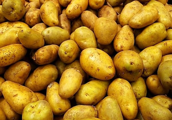 تصویر 2 از قیمت خرید سیب زمینی آبگوشتی + فروش ویژه